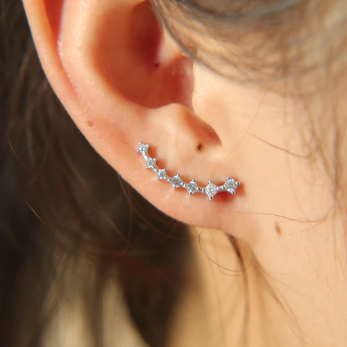 Climber Earrings