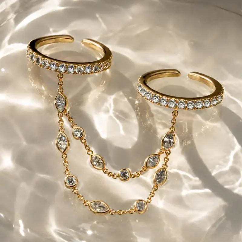 Double Chain Ring