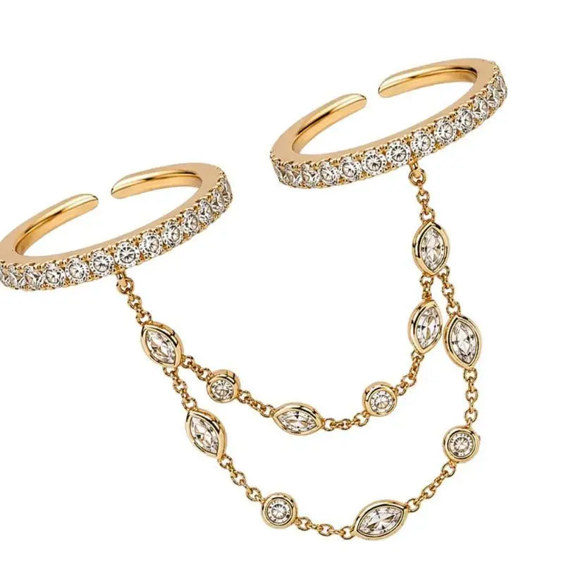 Double Chain Ring
