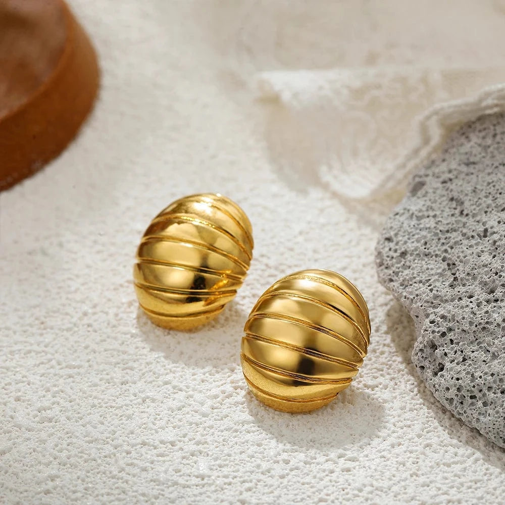 Boucle d&#39;Oreille Acier Inoxydable