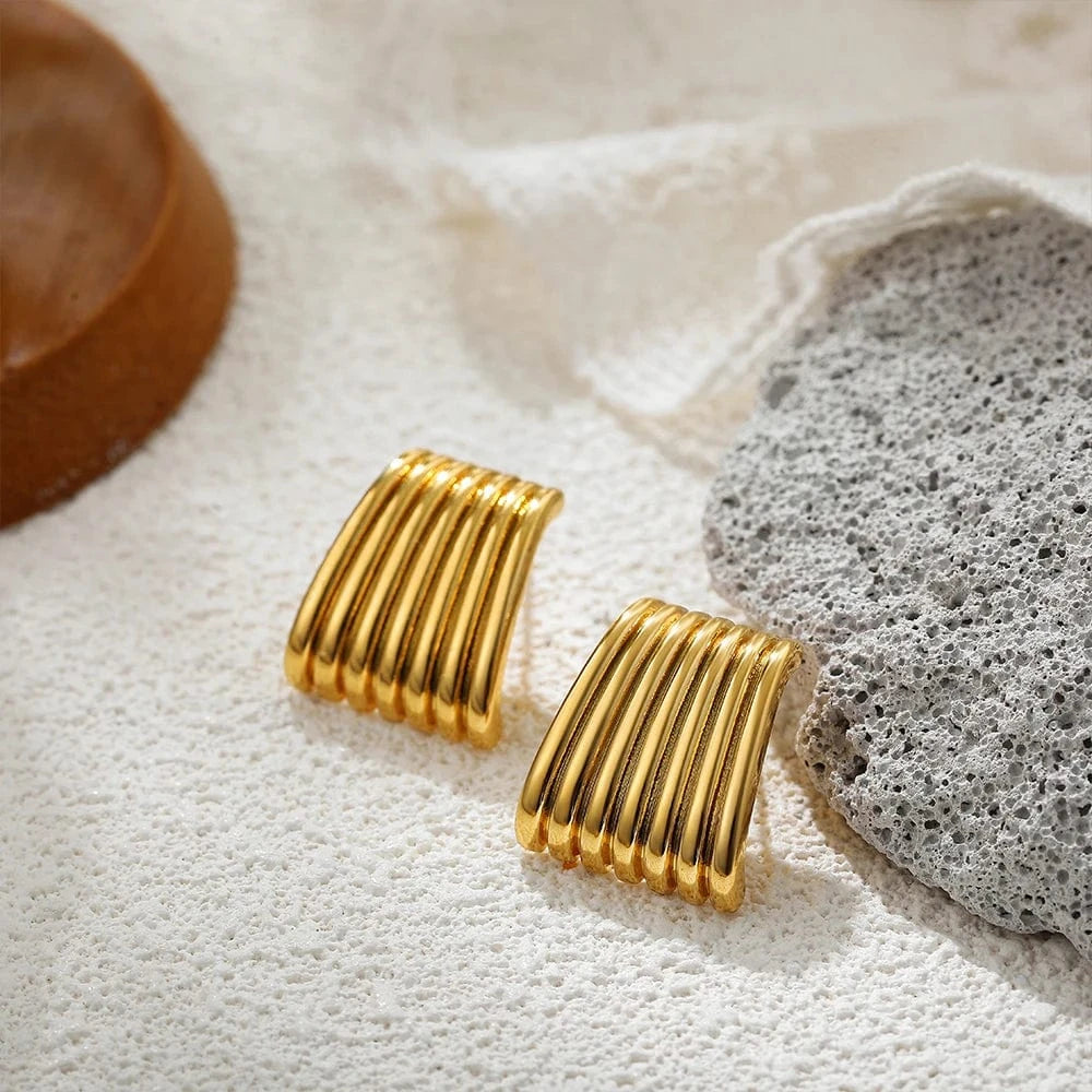 Boucle d&#39;Oreille Acier Inoxydable