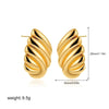 Boucle d&#39;Oreille Acier Inoxydable