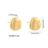 Boucle d&#39;Oreille Acier Inoxydable Or