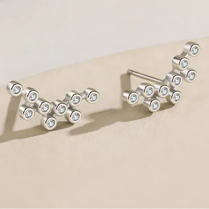 Boucle d&#39;Oreille Grimpante Argent Sterling