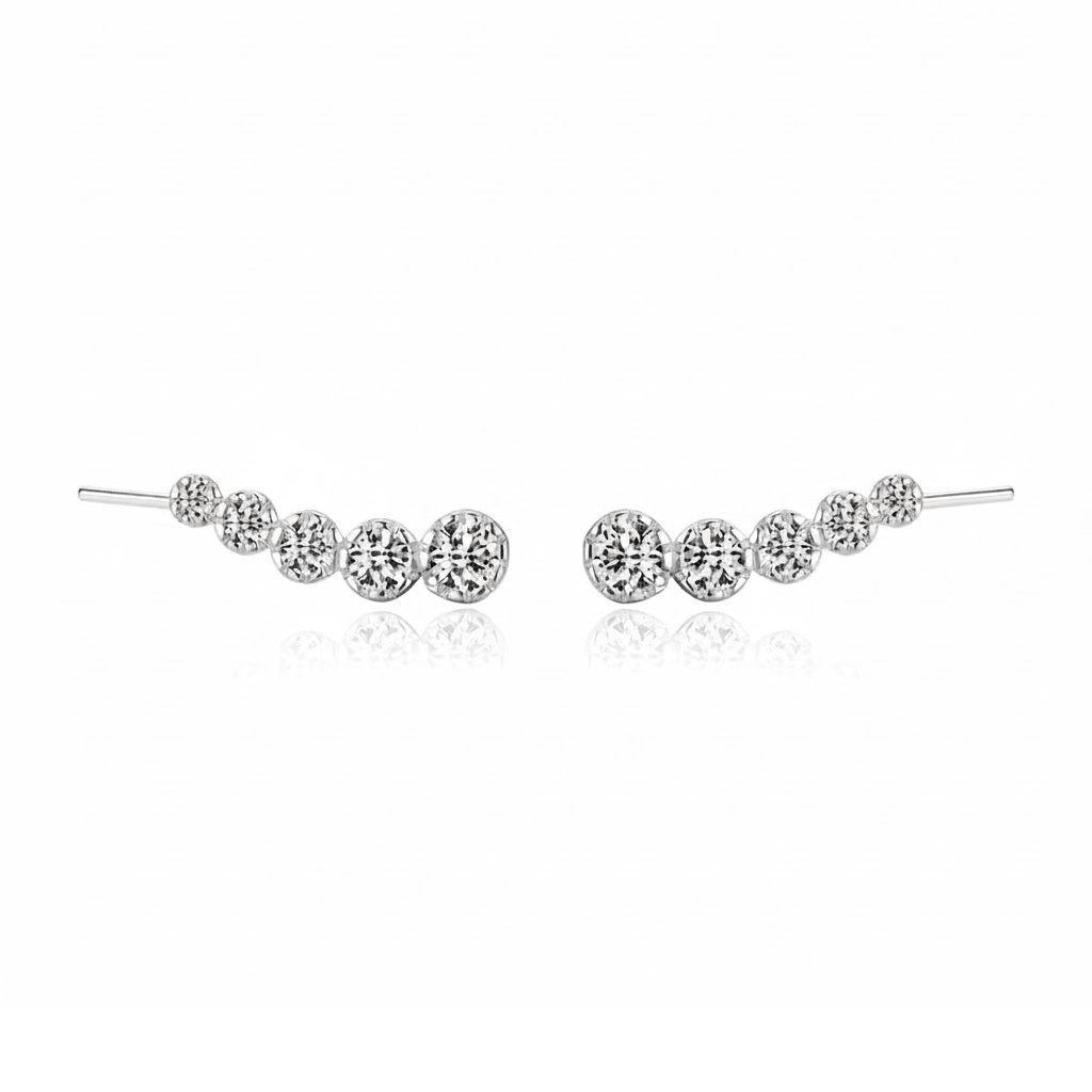Boucles d'Oreilles Grimpantes en Argent