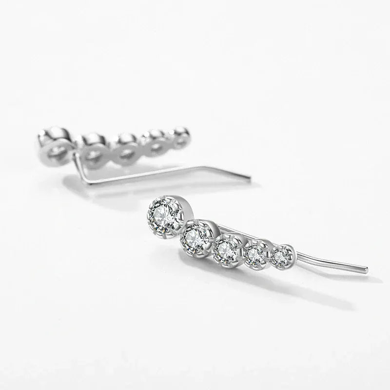 Boucles d&#39;Oreilles Grimpantes en Argent