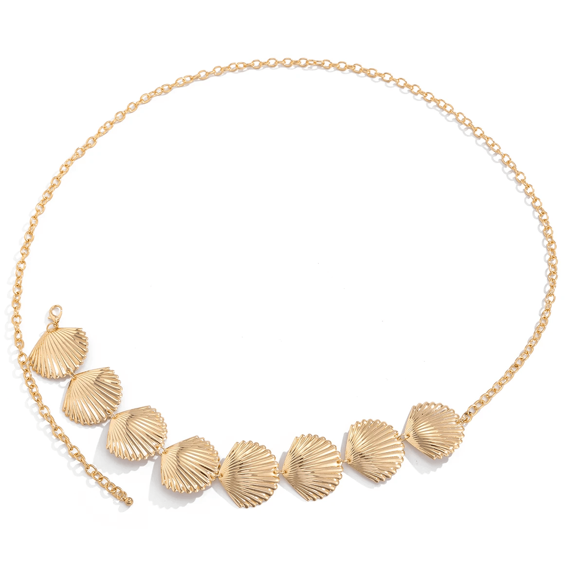 Chaine de Ventre Coquille